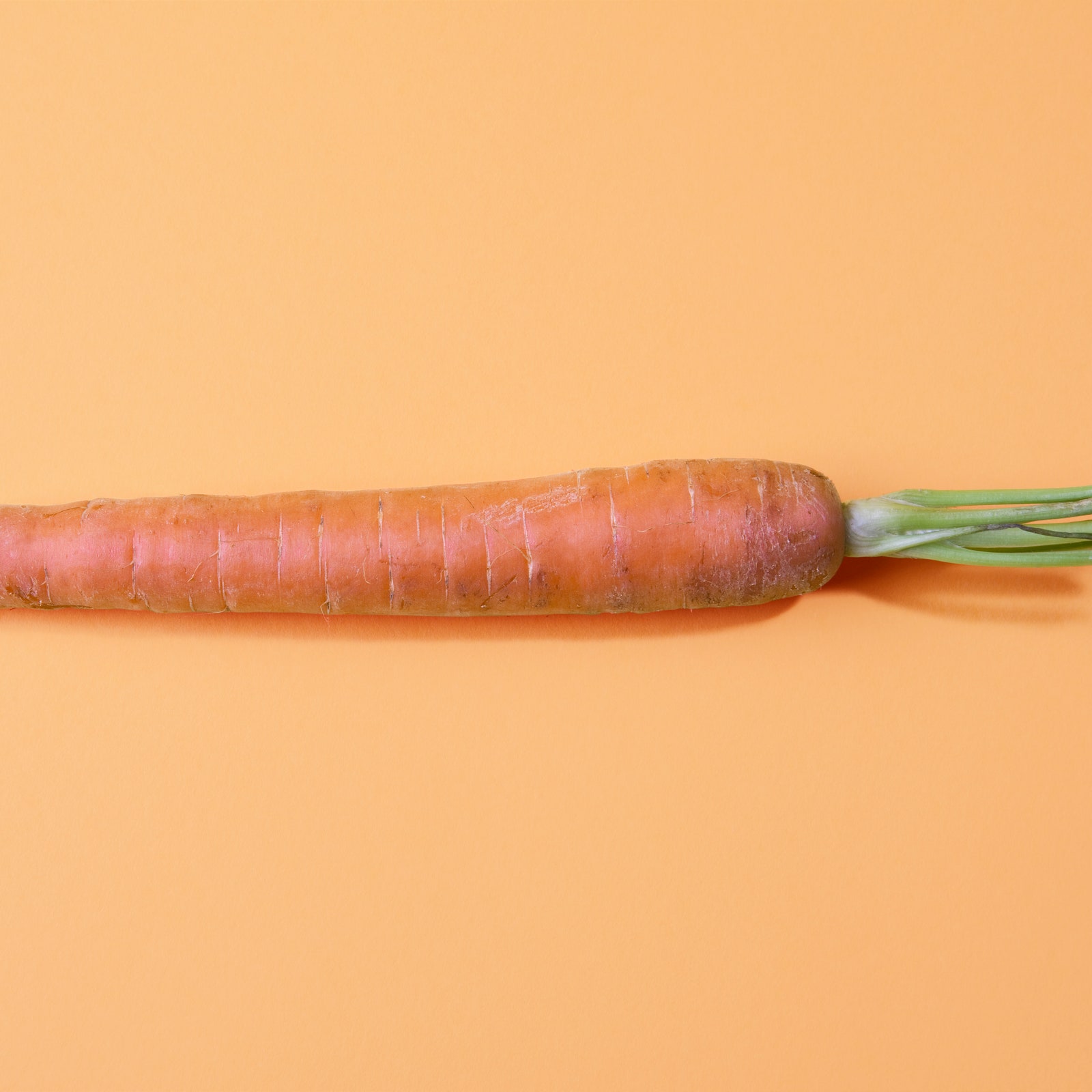 Check Your Fridge&-There’s a Carrot Recall Linked to an Ongoing, Deadly E. Coli Outbreak